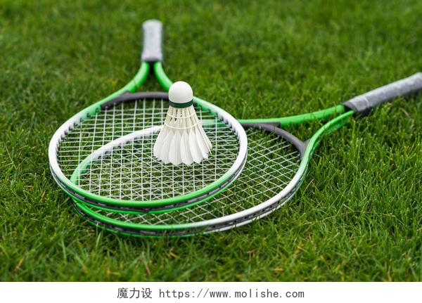 羽毛球拍在绿草地上的特写毽球在羽毛球拍上 